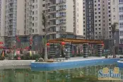 园林实景（2009-12）