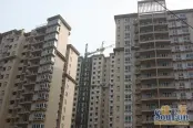实景图（2009-12）