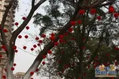 园林实景（2009-12）