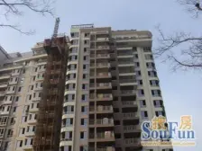 平层别墅,10层洋房,带院子,满五,诚意出价可da谈