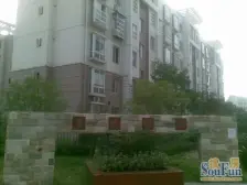 康桥绿城D区 南北通透,采光好 装修好,环镜优美 周边匹套完善,,出行方便