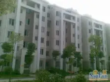 康桥绿城C区 南北通透,采光好 视野好,诚心出售