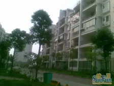 康桥绿城D区 装修好,环镜优美 周边匹套完善,,出行方便