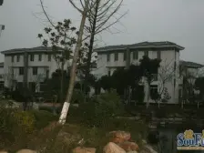 纯别墅区,500w精装修双拼别墅 有花园有车位 五+一