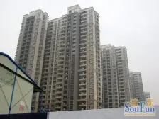 新上大三房,星洲+西附随时可用,双地铁,认可市场