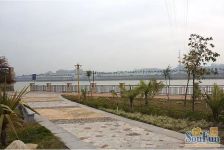 双拼别墅 有花园 有地下室 适合居家入驻
