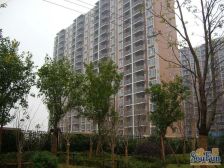 电梯房,品质小区,大开间,精装好房