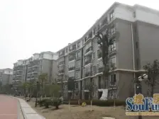 出入方便房屋采光好视野开阔居住成本低