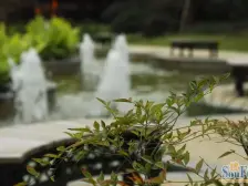 近地铁 无抵押,电梯房 产权清晰,新上房源