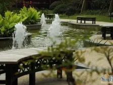 近地铁 无抵押,电梯房 产权清晰,新上房源