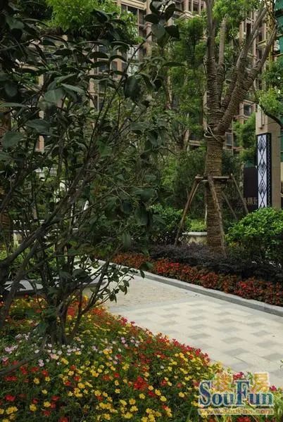 小区相关图