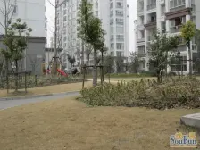 交大附属飞机两室,花园位置+清水毛坯,阳光正好!