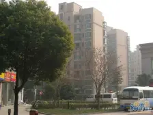 花园房,私家花园,开启你的诗意生活!