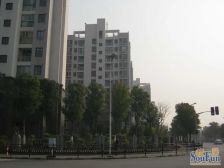 近地铁采光好无抵押电梯房新上房源