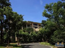 黑森林三期精装修大平层,业主急售,价格客沟通