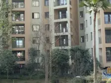 人和 协信柠檬郡三房