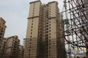 实景图（2010-02）