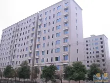 店长推荐 房东急售 南北通户型 电梯高层 视野开阔