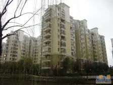 二期中间位置 高楼层视野棒 诚意出售 随时可看