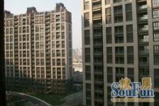 张江双子塔脚下交通便利,改善优选大两房,业主诚售,随时看