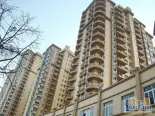 实景图（2010-03）