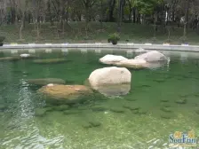 翠湖天地嘉苑5室南朝向8200.00万元/套出售