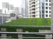 翠湖三期,东边套全明户型,含车位