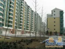 雁滩高新科教城二期毛坯复试 带电梯 看房方便带阳台