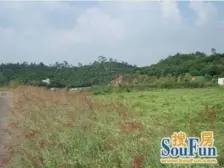 大岭山,万科麓湖别墅出售,有车位