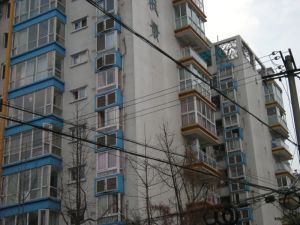 幸福枫景2室1厅南