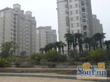 上海梦想5室南朝向1800.00万元/套出售