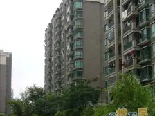 新上房源 电梯房 刚需上车。特价历史醉低价 捡漏