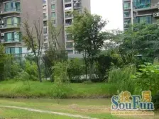 小区新上,实地拍摄,凤凰楼层,小区中心位置,看房有