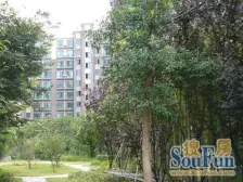 满五年+南北通+户型正+不靠路+不沿街+一个人代理