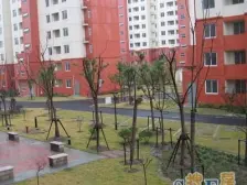 沿河景观房 养眼养心 水即是财 等有缘人