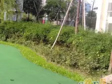 天山河畔花园4室南朝向1580.00万元/套出售