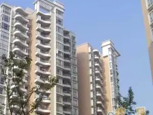 罕见南北双阳台 精装修 采光视野好