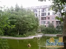 康桥老街3室东朝向485.00万元/套出售