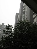 巷上生活馆1室1厅东南