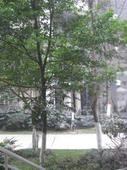 巷上生活馆2室1厅西南