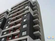 蓝色城邦(公寓) 1室1厅 南 北