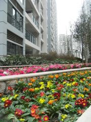 上行锦绣3室2厅东南