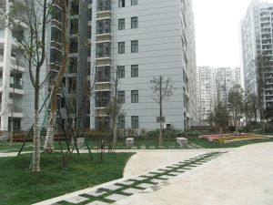 上行锦绣 3室1厅 东南