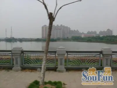 奥林匹克花园写字楼实景图