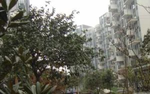 蓝谷地三四期 3室1厅 南 北