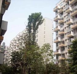 蓝谷地三四期 4室2厅 东南