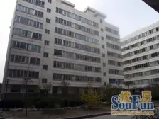 地铁二号线 三室户型 通透户型 精装修