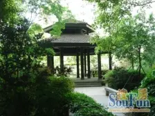 新家坡美树馆3室南朝向1718.00万元/套出售