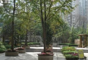 听城3室1厅东南