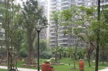 听城 2室2厅 西北